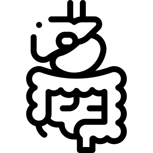 Digestiu
